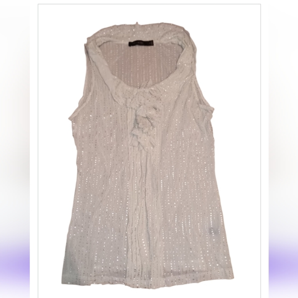 The Limited Elegant Light Gray & Silver Shimmer Sleeveless Top